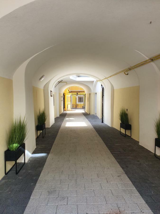 Luxory Apartment The Soul Of City Марибор Экстерьер фото